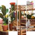 Румбокс Квіткова Оранжерея інтер'єрний конструктор Cathy's Flower House TSZH201
