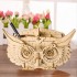 Дерев'яний 3D-пазл конструктор Сова Rolife Owl Storage Box TG405 (61 деталь) Дерев'яний 3D-пазл конструктор Сова Rolife Owl Storage Box TG405 (61 деталь)