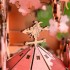 3D дерев'яний конструктор Будиночок на сакурі Rolife Sakura Tree House TGS-04 механічний пазл 535 деталей 3D дерев'яний конструктор Будиночок на сакурі Rolife Sakura Tree House TGS-04 механічний пазл 535 деталей