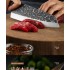 Кухонний ніж Bunka Ніж японський Бунка з чохлом