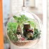 Румбокс - куля інтер'єрний 3D конструктор Miniature DIY Mini fairy Forest Elf Tribe TOTORO B-010 + підставка Румбокс - куля інтер'єрний 3D конструктор Miniature DIY Mini fairy Forest Elf Tribe TOTORO B-010 + підставка