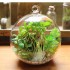 Румбокс - куля інтер'єрний 3D конструктор Miniature DIY Mini fairy Forest Elf Tribe TOTORO B-010 + підставка Румбокс - куля інтер'єрний 3D конструктор Miniature DIY Mini fairy Forest Elf Tribe TOTORO B-010 + підставка